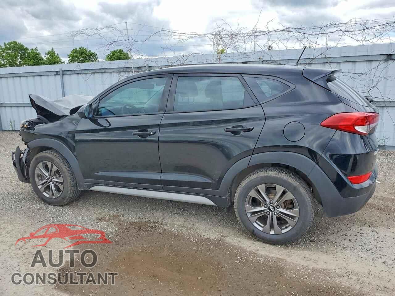 HYUNDAI TUCSON 2017 - KM8J2CA4XHU558391