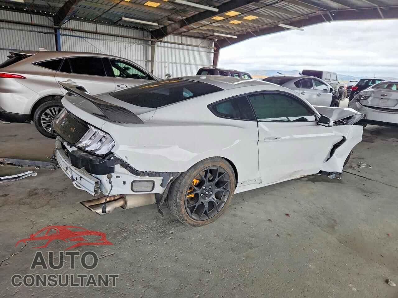 FORD MUSTANG 2019 - 1FA6P8TH5K5161316