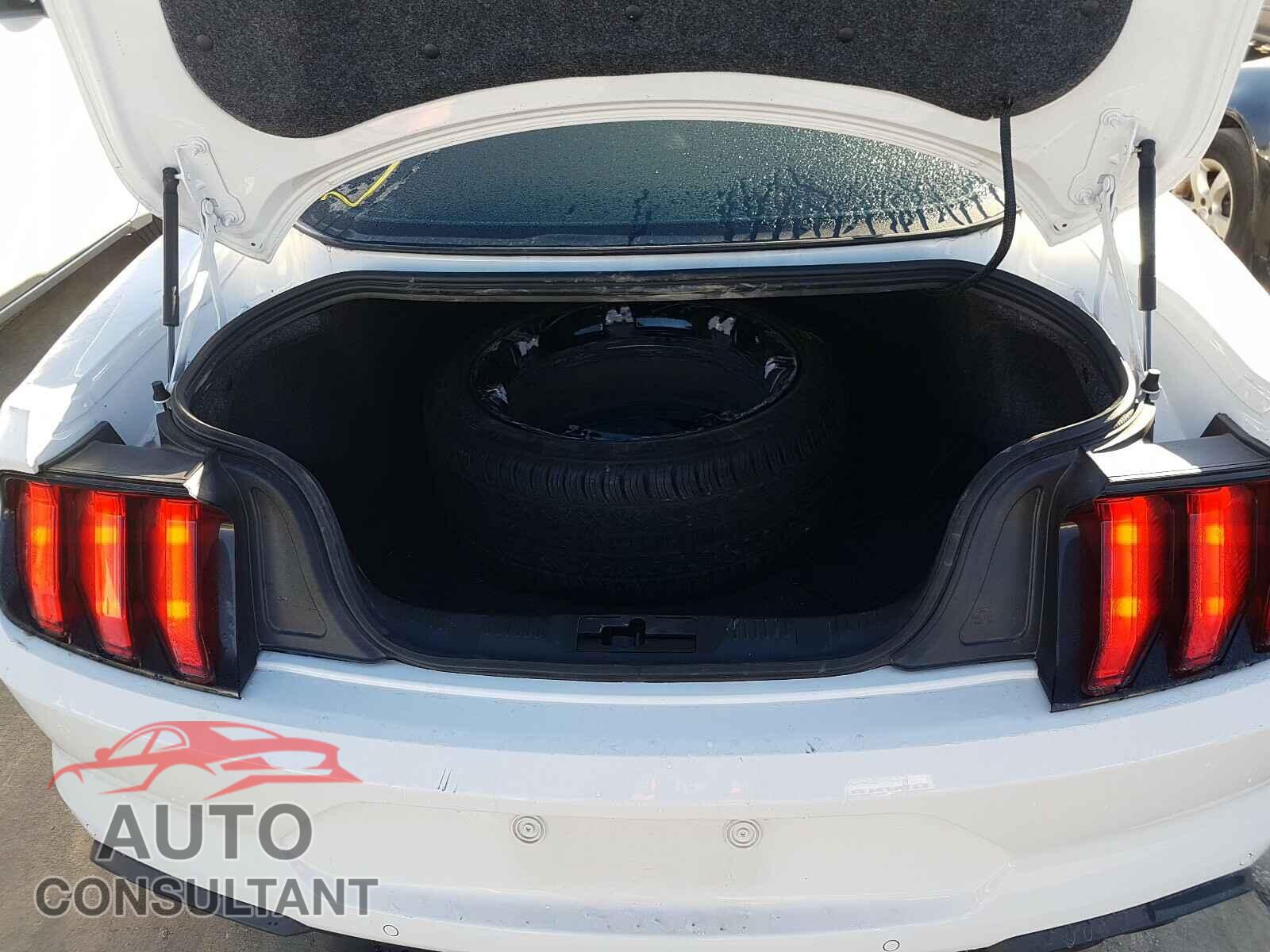 FORD MUSTANG 2019 - 1FA6P8CF9K5157672