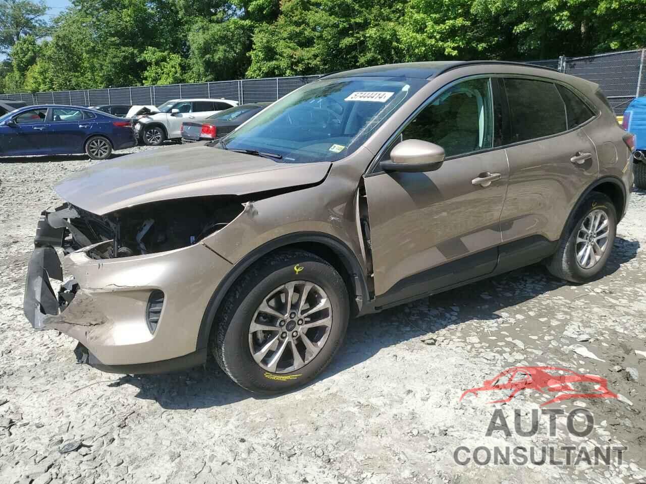 FORD ESCAPE 2021 - 1FMCU9G61MUB09805