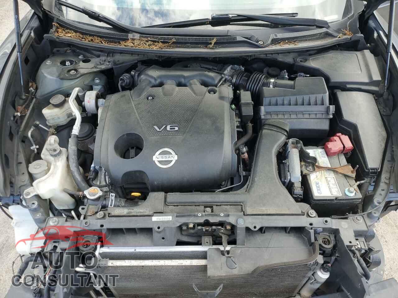 NISSAN MAXIMA 2010 - 1N4AA5AP1AC804906