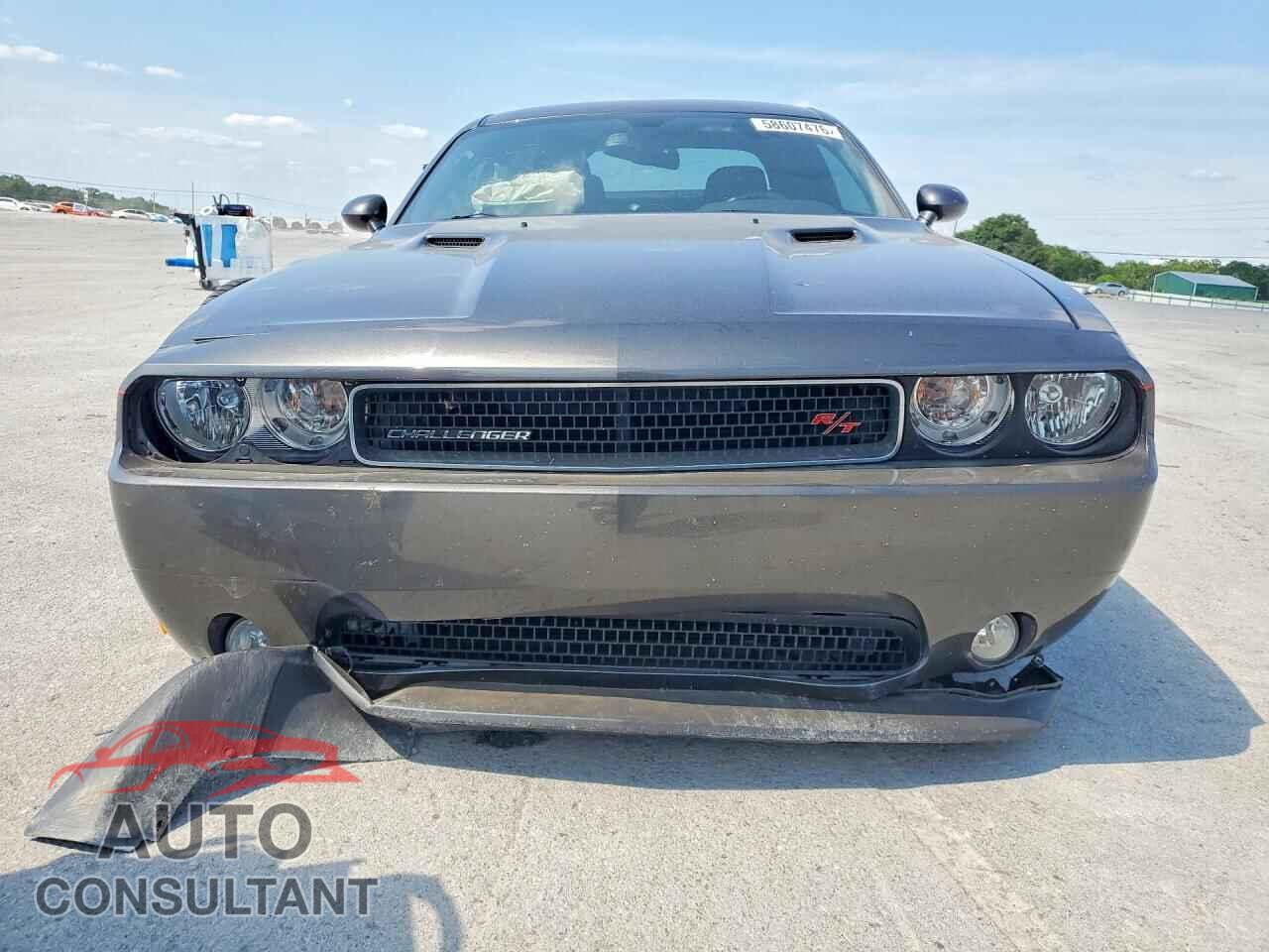 DODGE CHALLENGER 2013 - 2C3CDYBT8DH541780