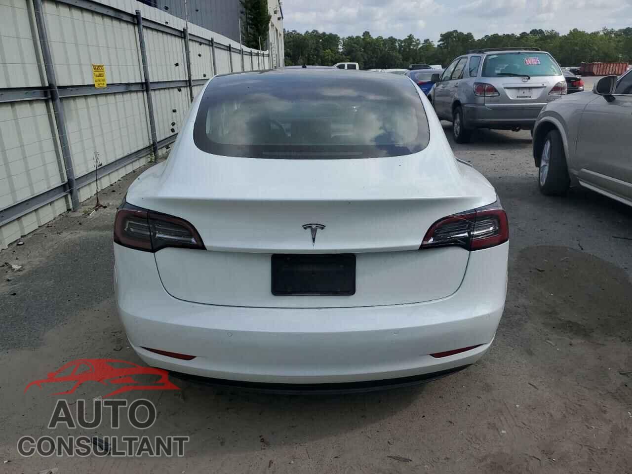 TESLA MODEL 3 2019 - 5YJ3E1EA3KF412066