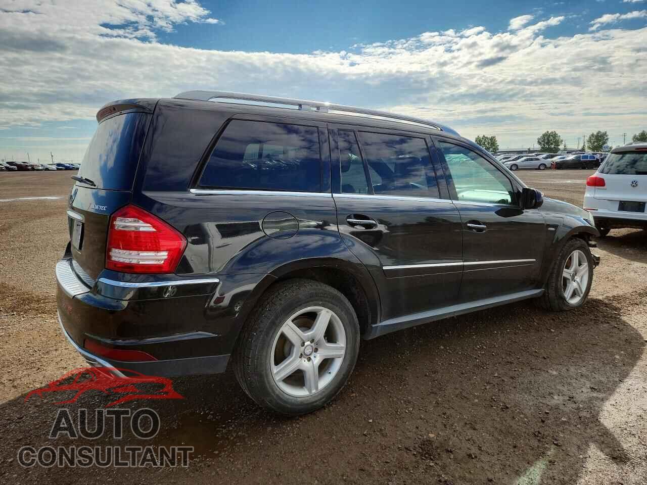 MERCEDES-BENZ GL-CLASS 2010 - 4JGBF2FE9AA623730