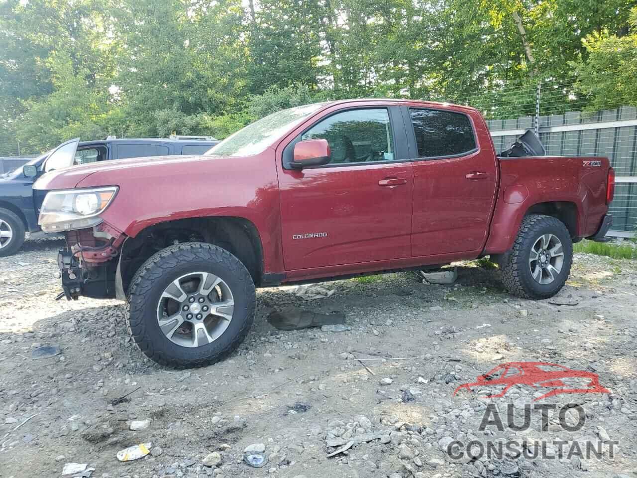 CHEVROLET COLORADO 2019 - 1GCGTDEN5K1128538