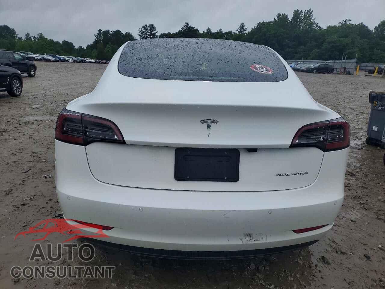 TESLA MODEL 3 2021 - 5YJ3E1EB1MF019906