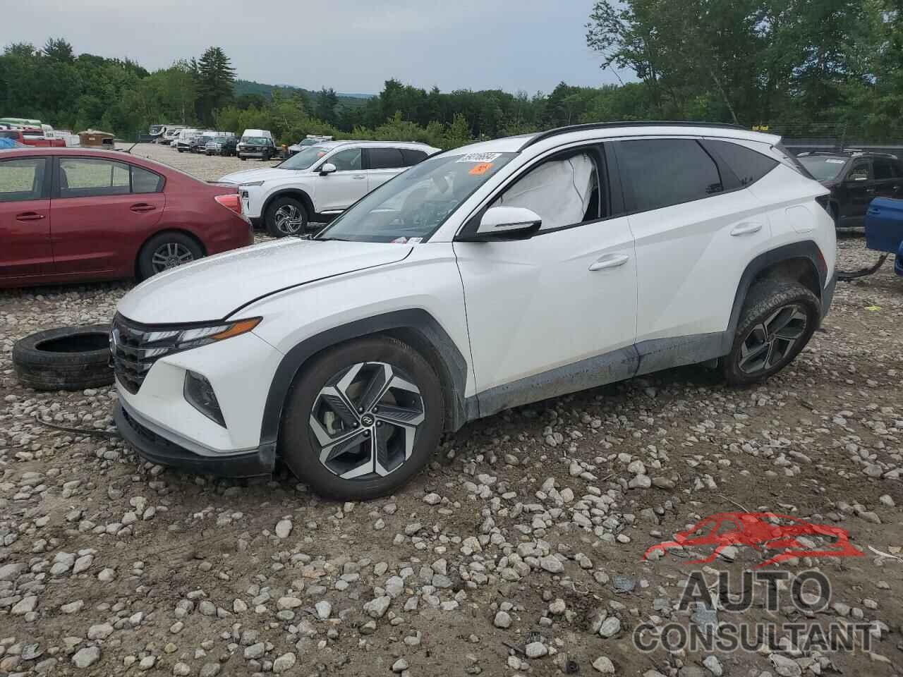 HYUNDAI TUCSON 2023 - 5NMJFCAE5PH185137