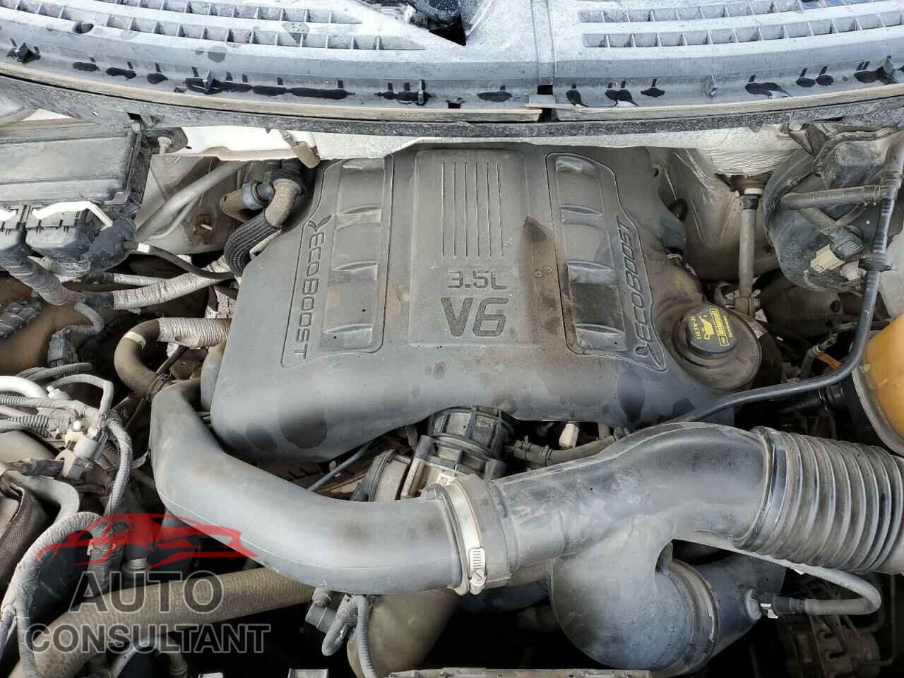 FORD F-150 2012 - 1FTFW1ET1CFA04724