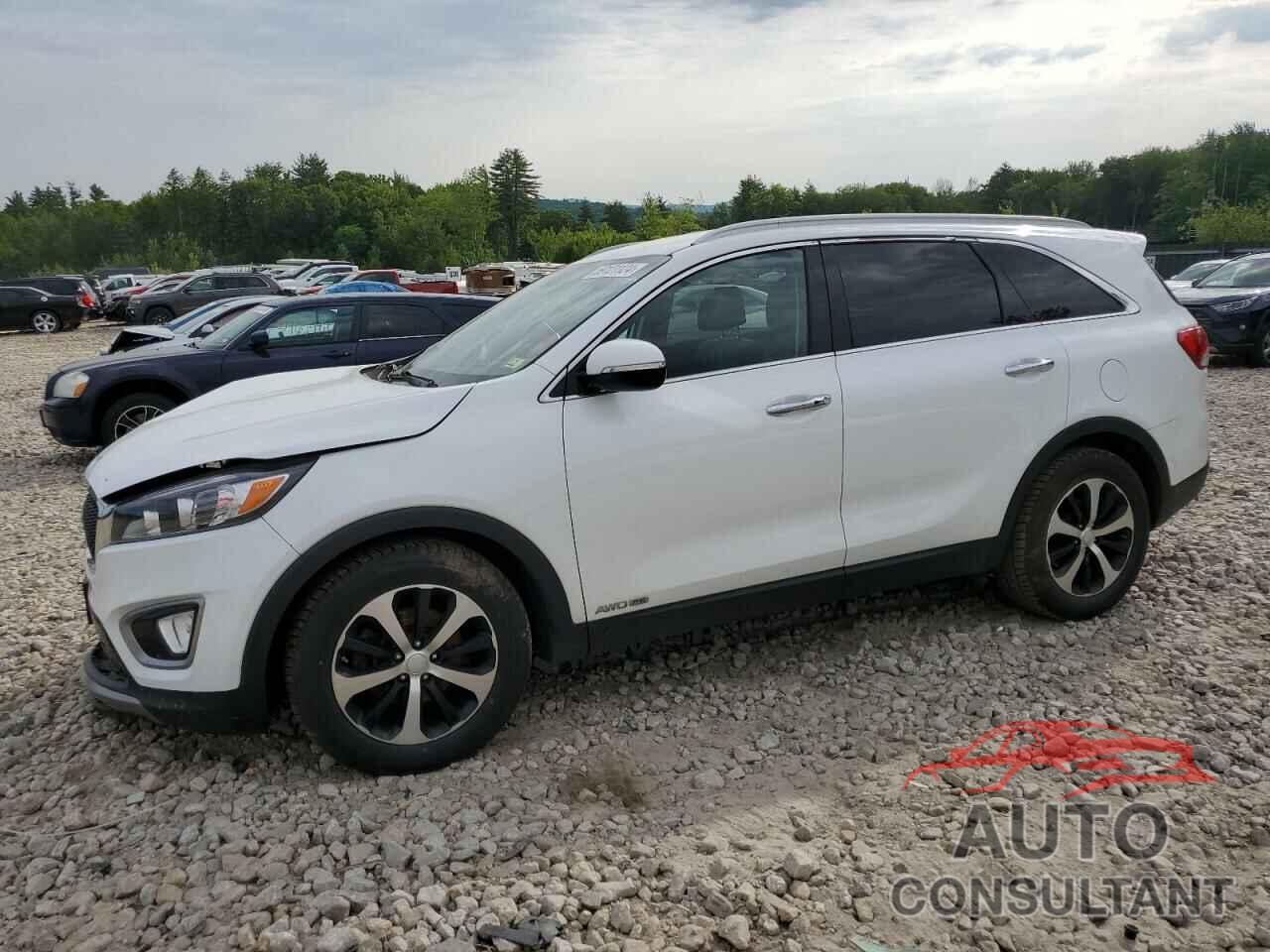 KIA SORENTO 2017 - 5XYPHDA57HG338302