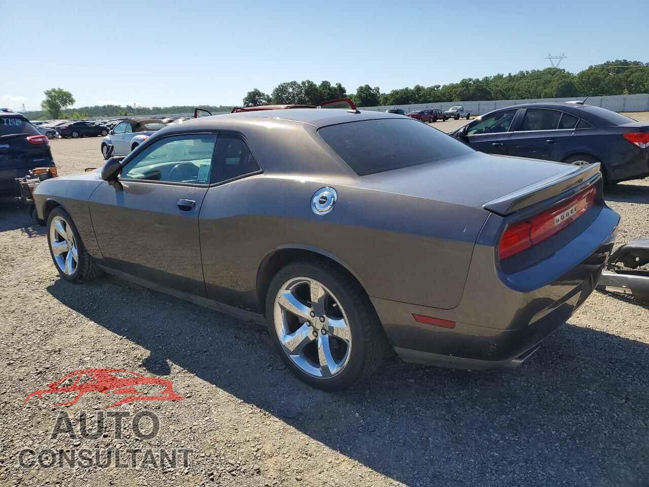 DODGE CHALLENGER 2013 - 2C3CDYAG9DH691966