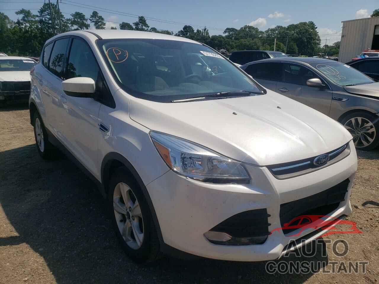 FORD ESCAPE 2016 - 1FMCU0GX8GUB19823
