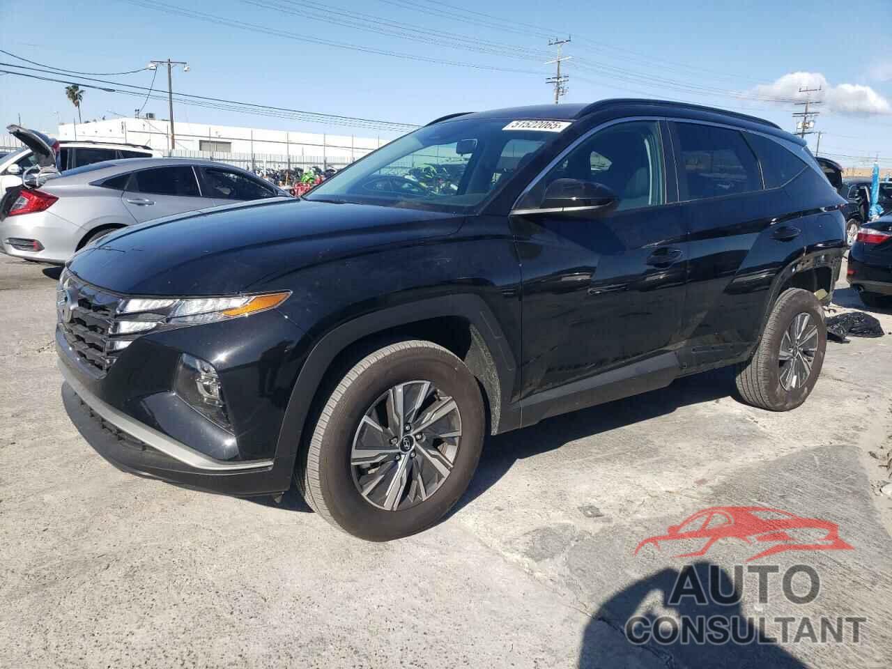 HYUNDAI TUCSON 2024 - KM8JBCD12RU221779