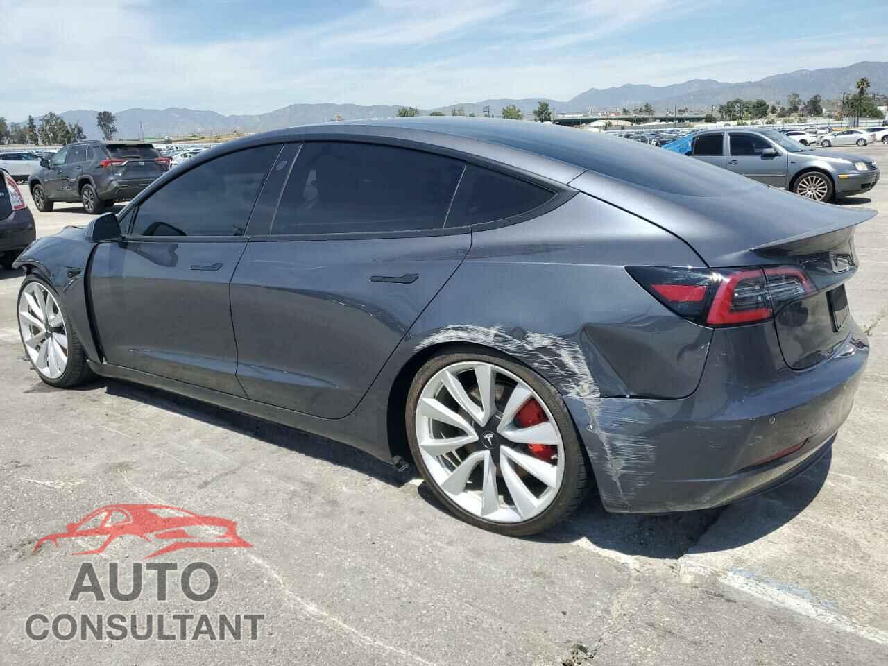TESLA MODEL 3 2019 - 5YJ3E1EB1KF213977