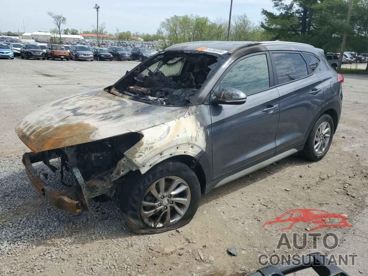 HYUNDAI TUCSON 2018 - KM8J3CA41JU755596