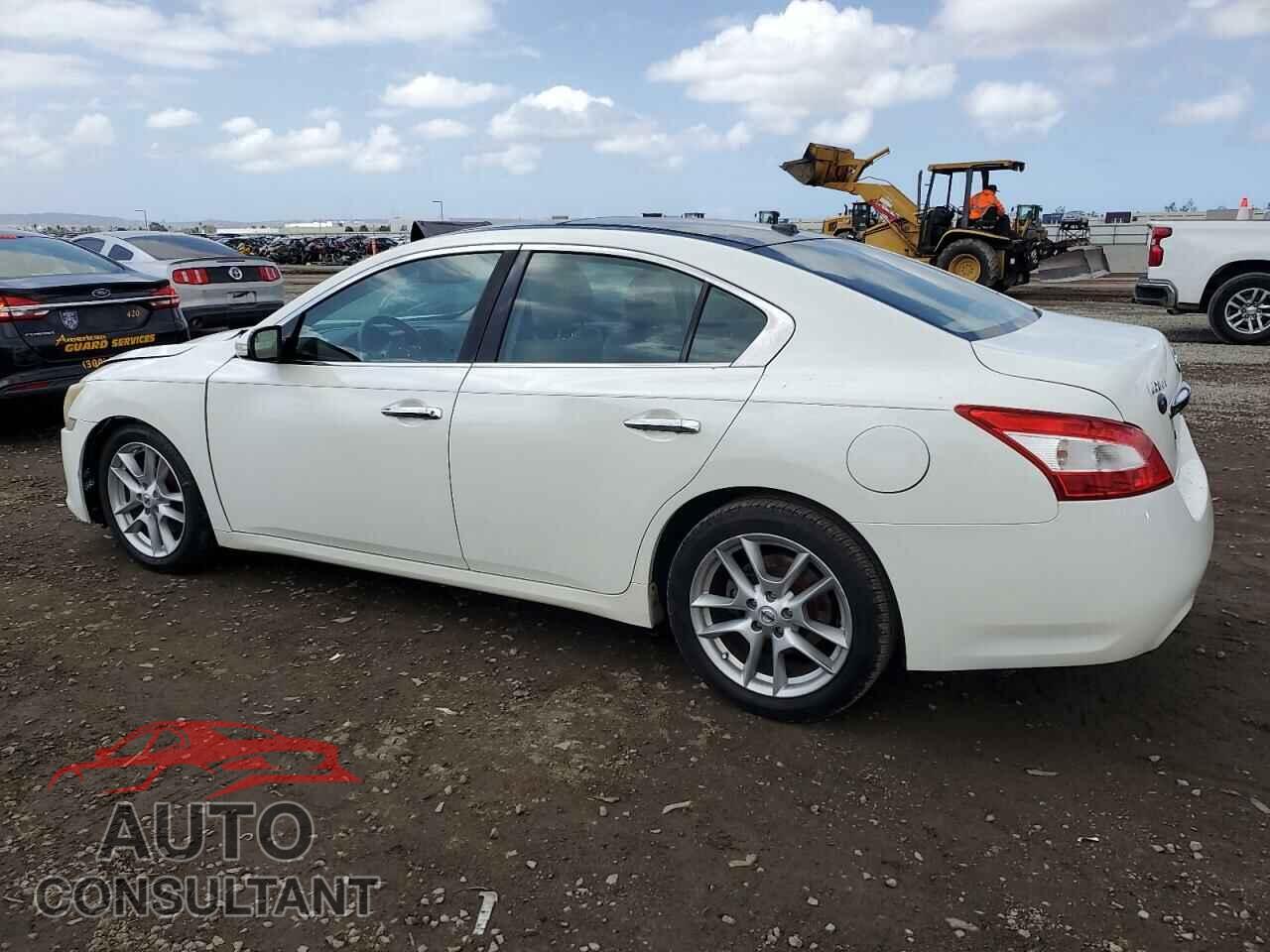 NISSAN MAXIMA 2011 - 1N4AA5AP7BC808055