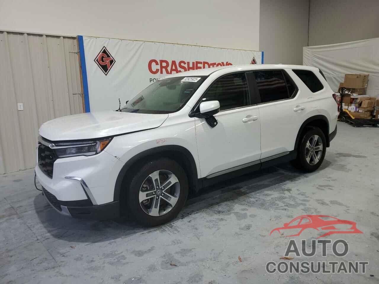 HONDA PILOT 2024 - 5FNYG2H51RB012747