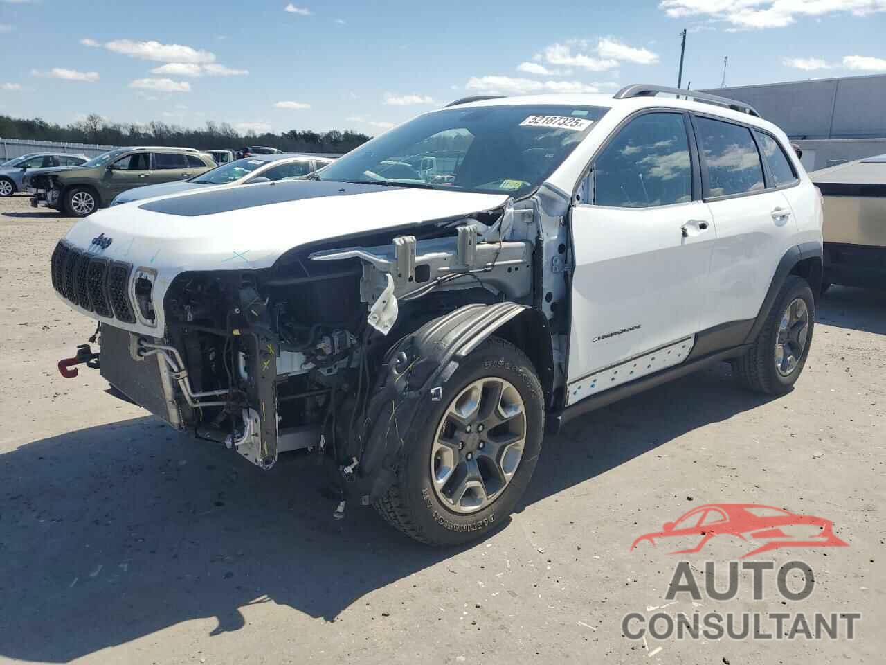 JEEP CHEROKEE 2019 - 1C4PJMBX4KD118383