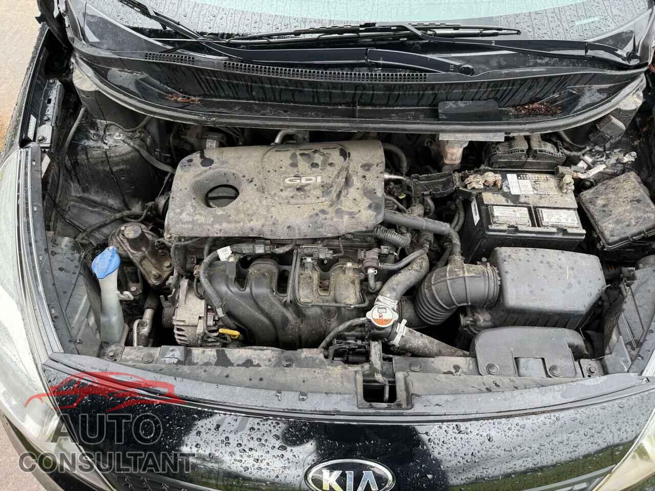 KIA RIO 2017 - KNADM4A37H6005482