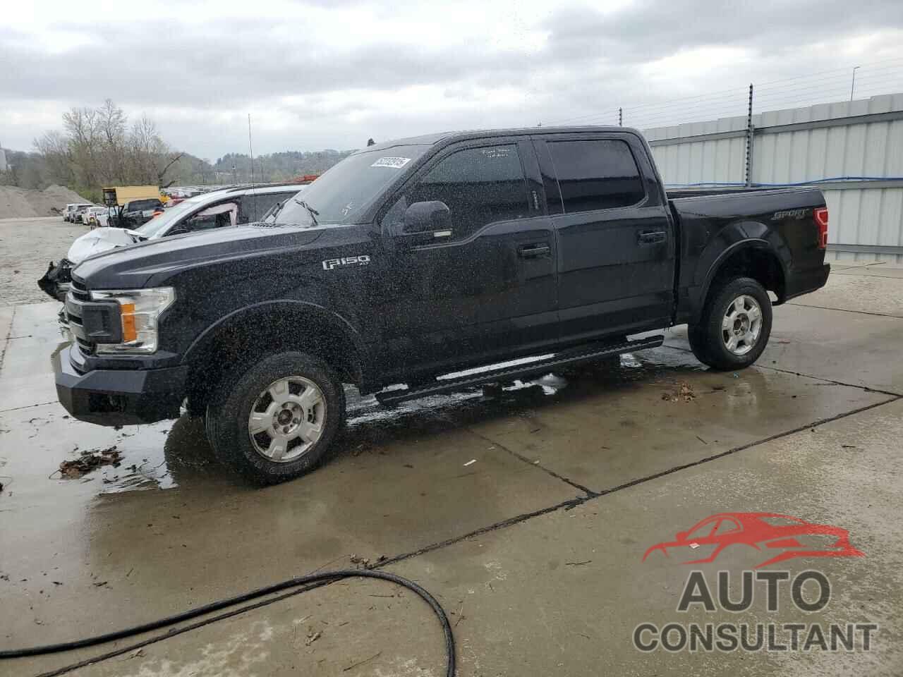 FORD F-150 2019 - 1FTEW1EP5KKC97354