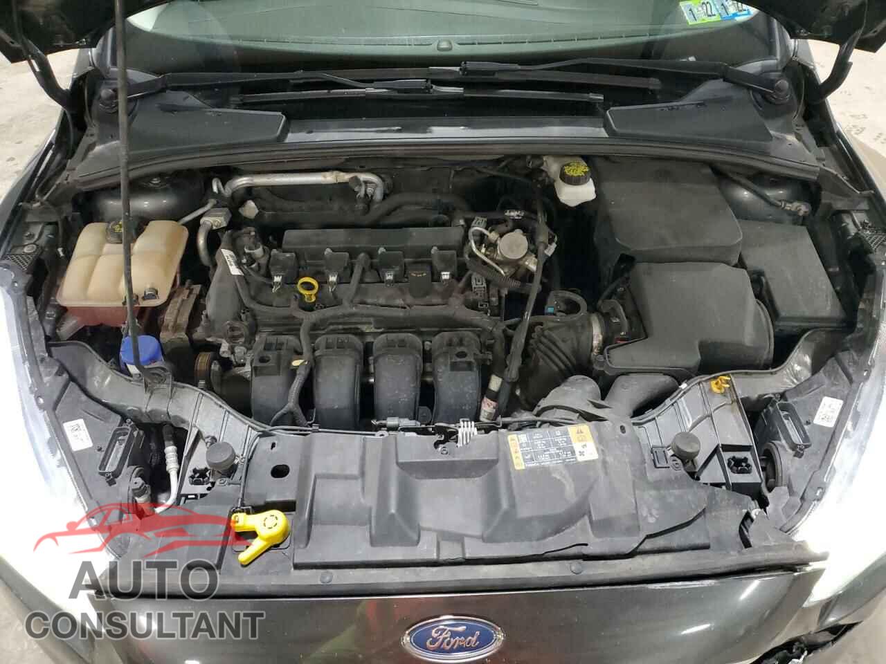 FORD FOCUS 2017 - 1FADP3J26HL346861