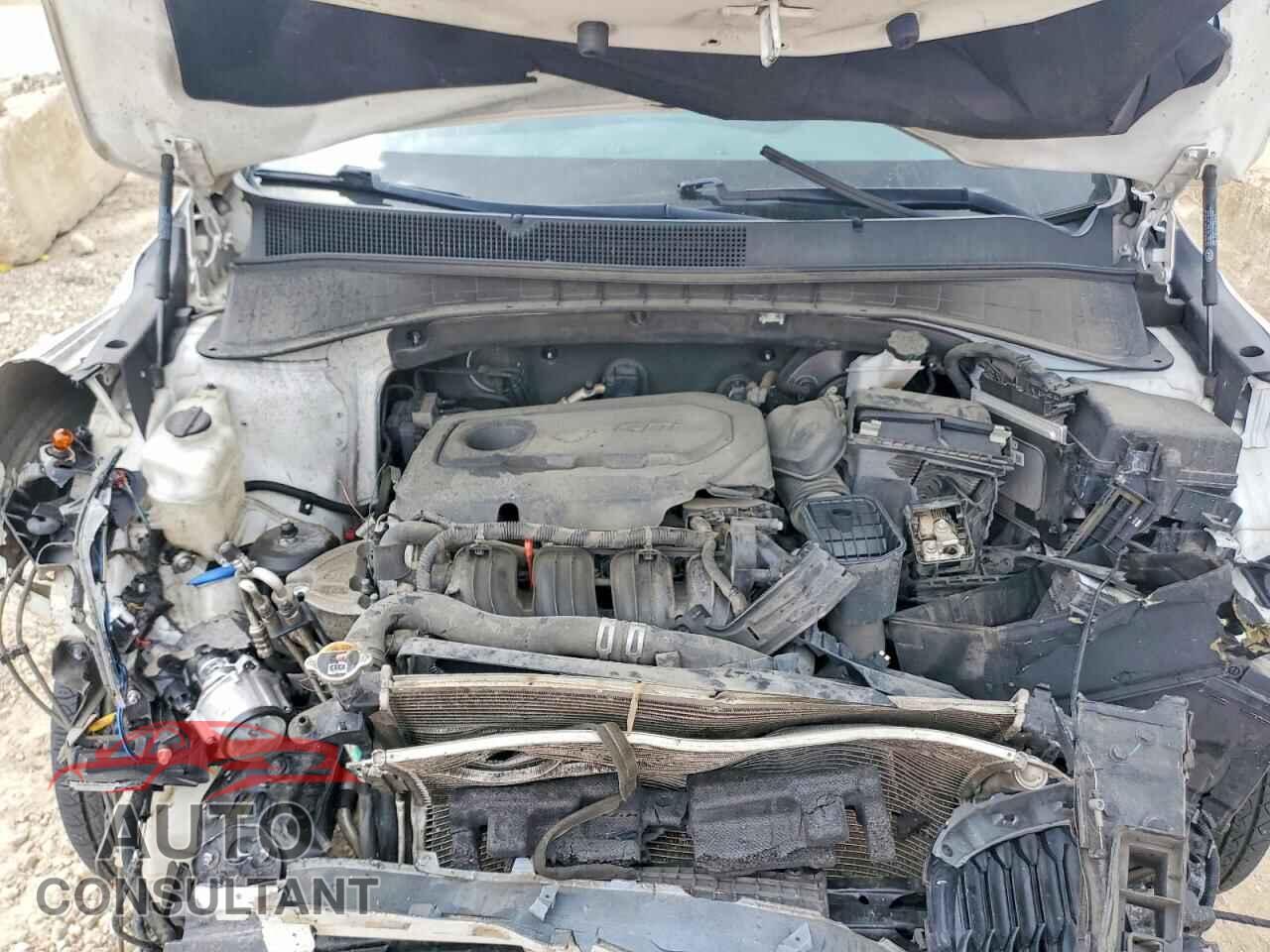KIA SORENTO 2020 - 5XYPGDA36LG641839