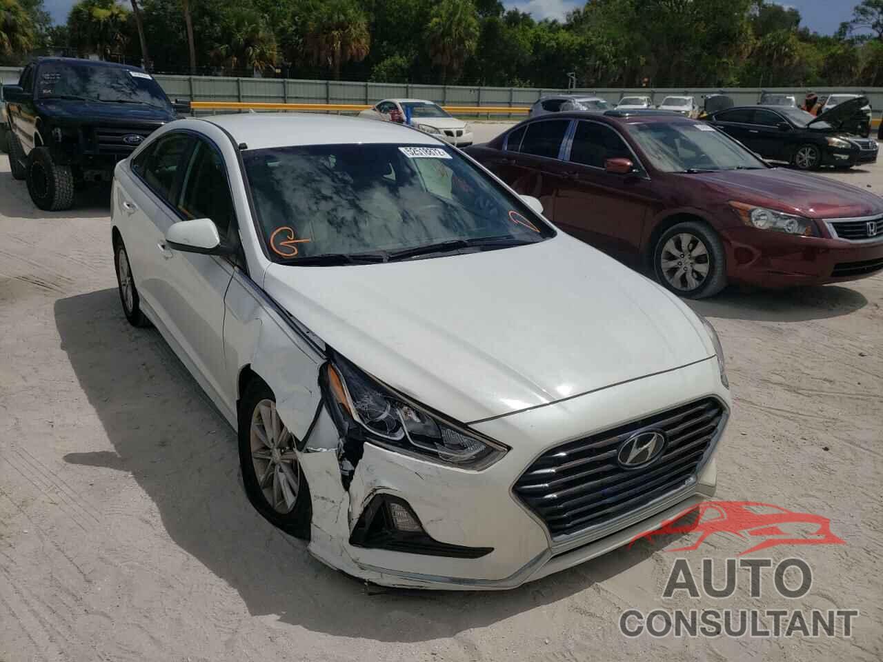 HYUNDAI SONATA 2019 - 5NPE24AF2KH802954