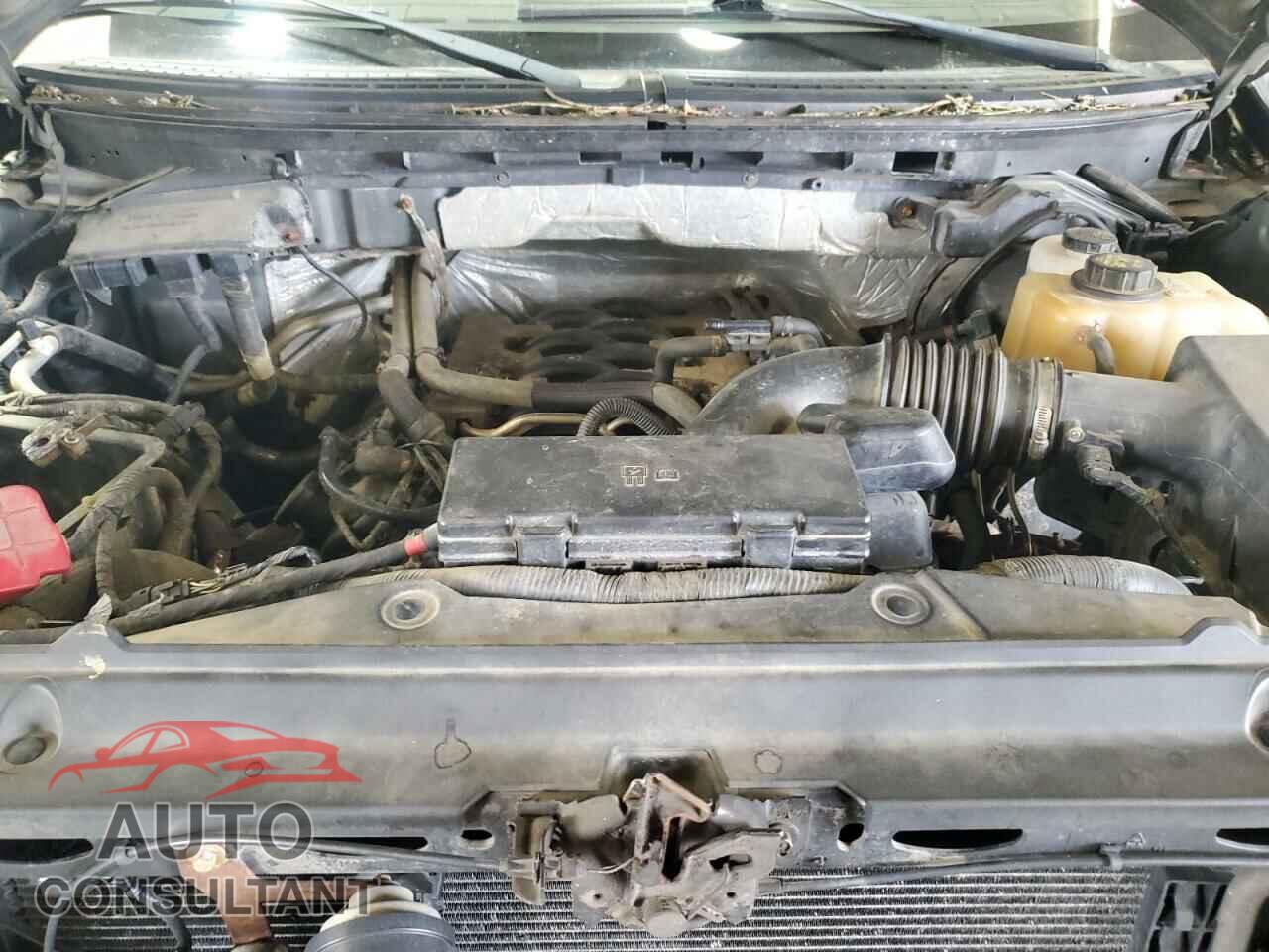 FORD F-150 2011 - 1FTFX1EF2BFB01047
