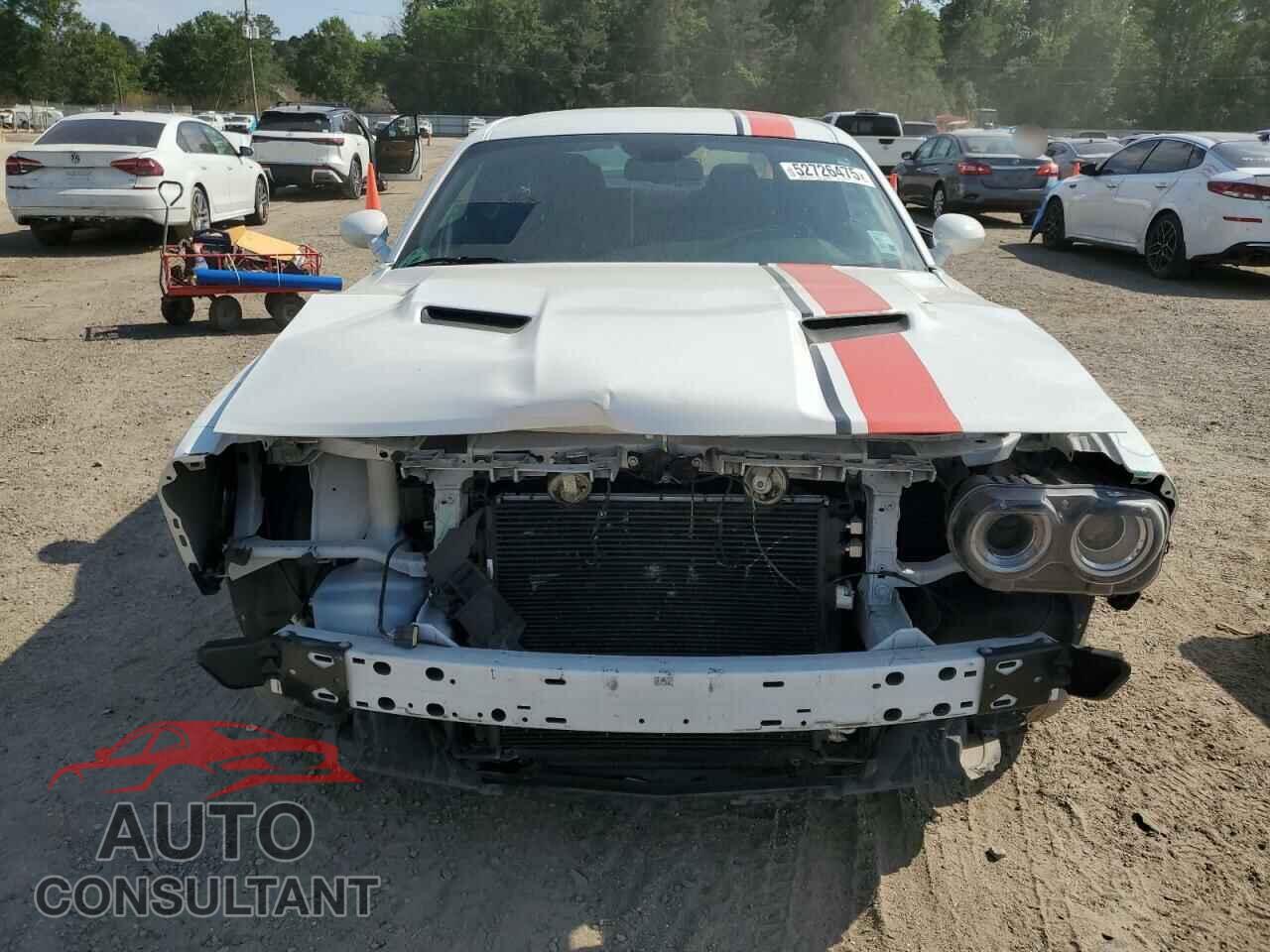 DODGE CHALLENGER 2019 - 2C3CDZAG5KH560584