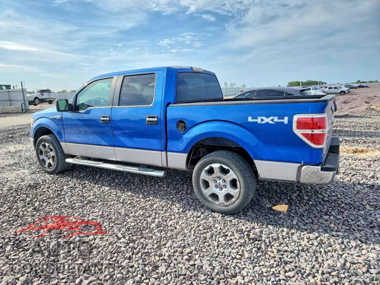 FORD F150 2010 - 1FTFW1EV7AKE03935