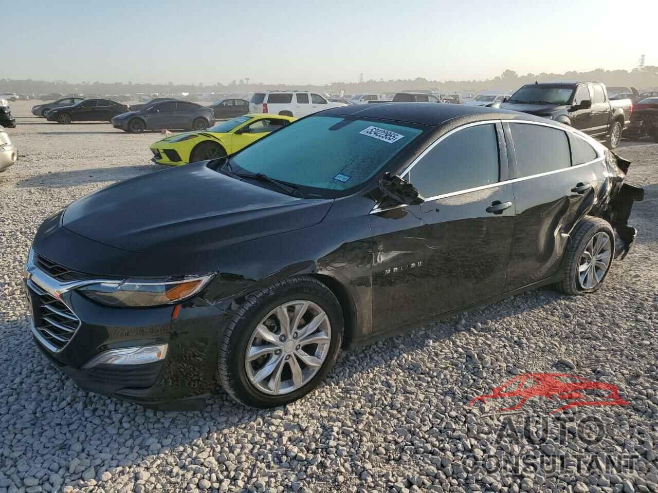 CHEVROLET MALIBU 2019 - 1G1ZB5ST2KF184453