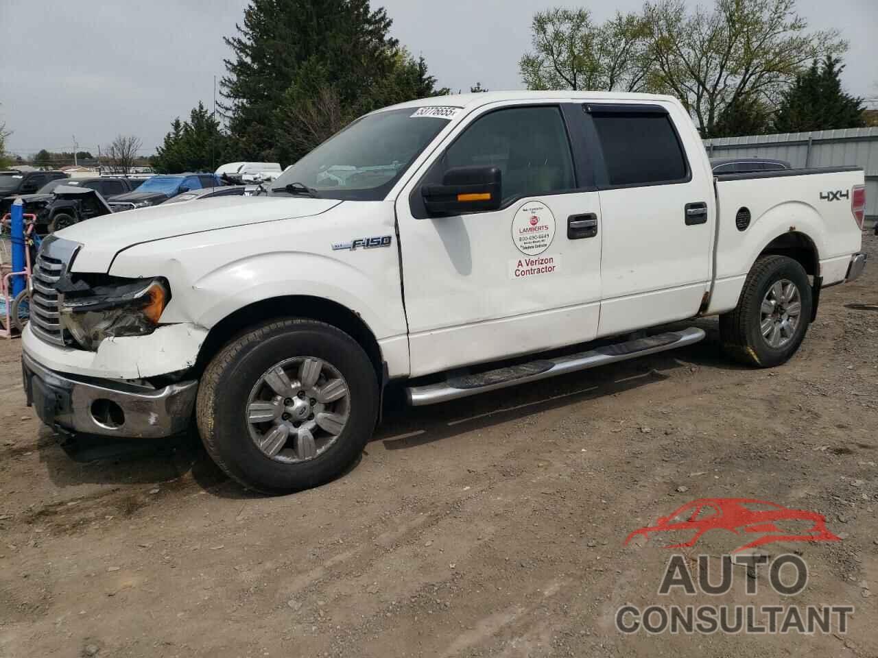 FORD F-150 2010 - 1FTEW1E81AFB16167