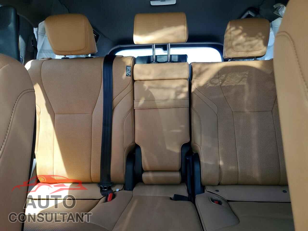 LEXUS UNKNOWN 2025 - JTJGB7CX2S4071607