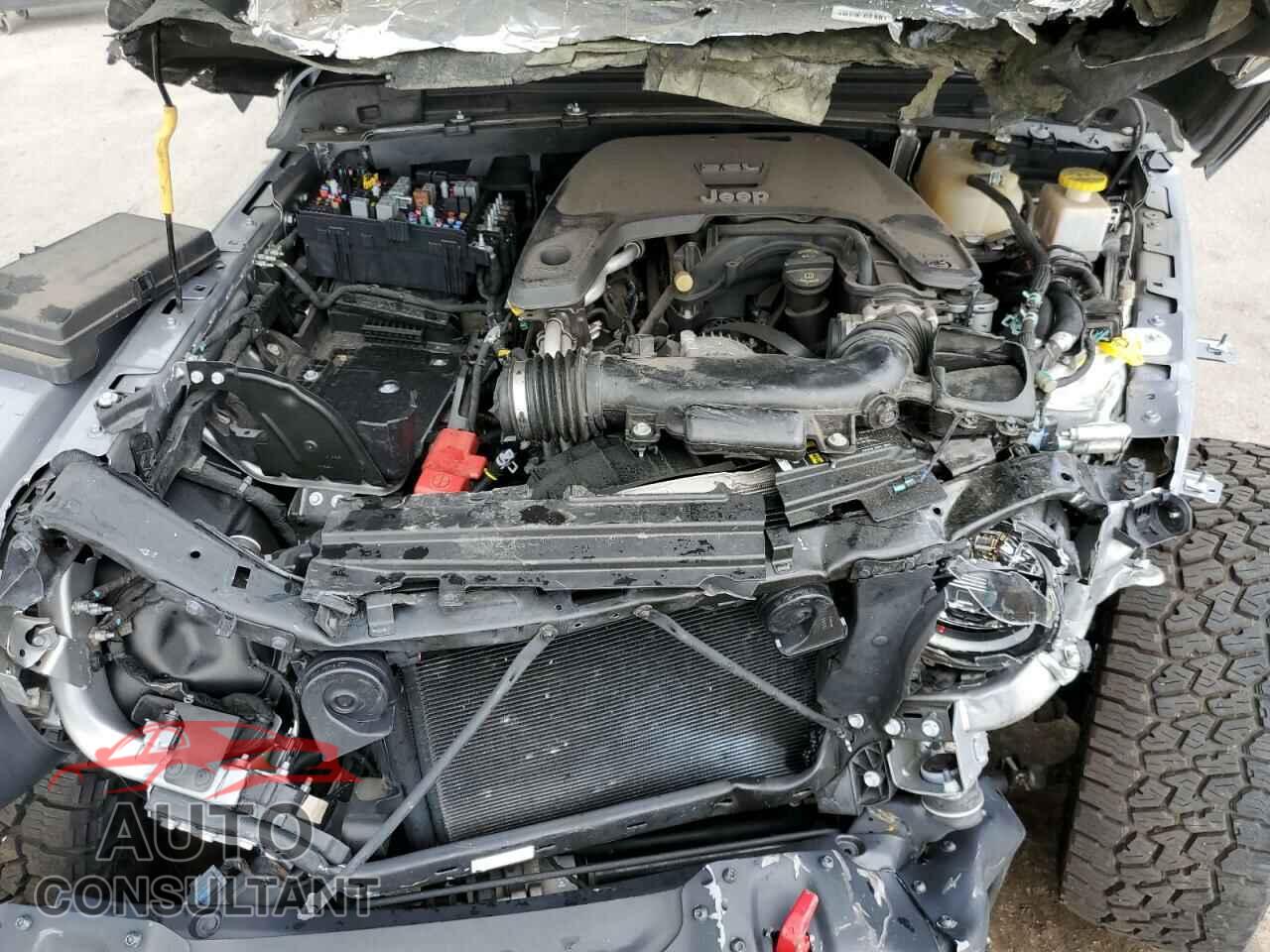 JEEP GLADIATOR 2020 - 1C6JJTBG8LL156830