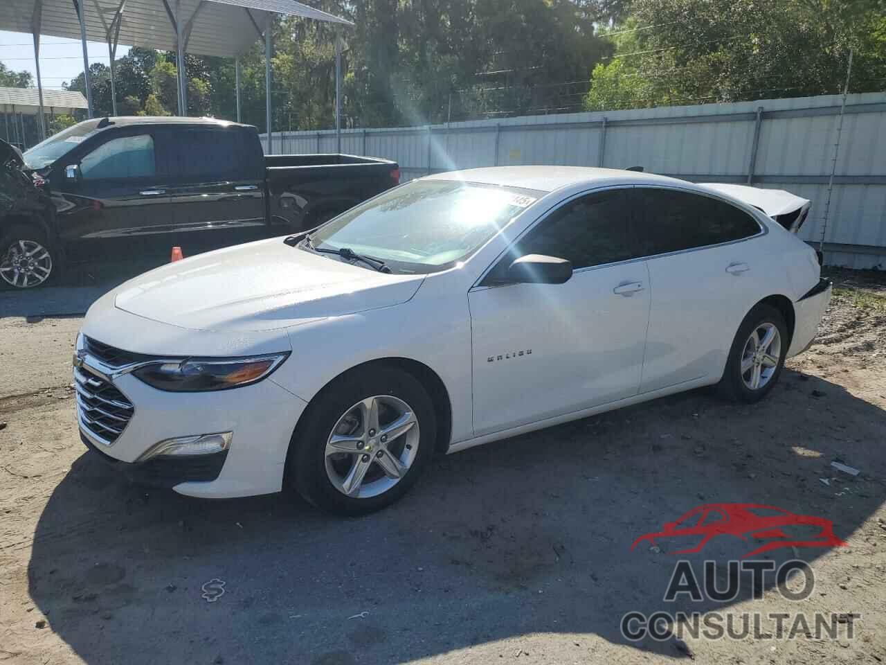 CHEVROLET MALIBU 2019 - 1G1ZB5ST7KF125768