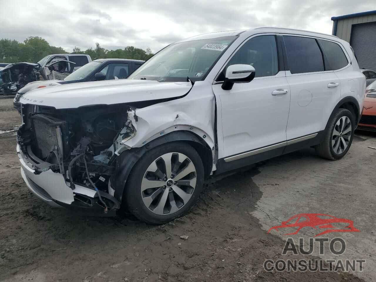 KIA TELLURIDE 2021 - 5XYP3DHC6MG119294