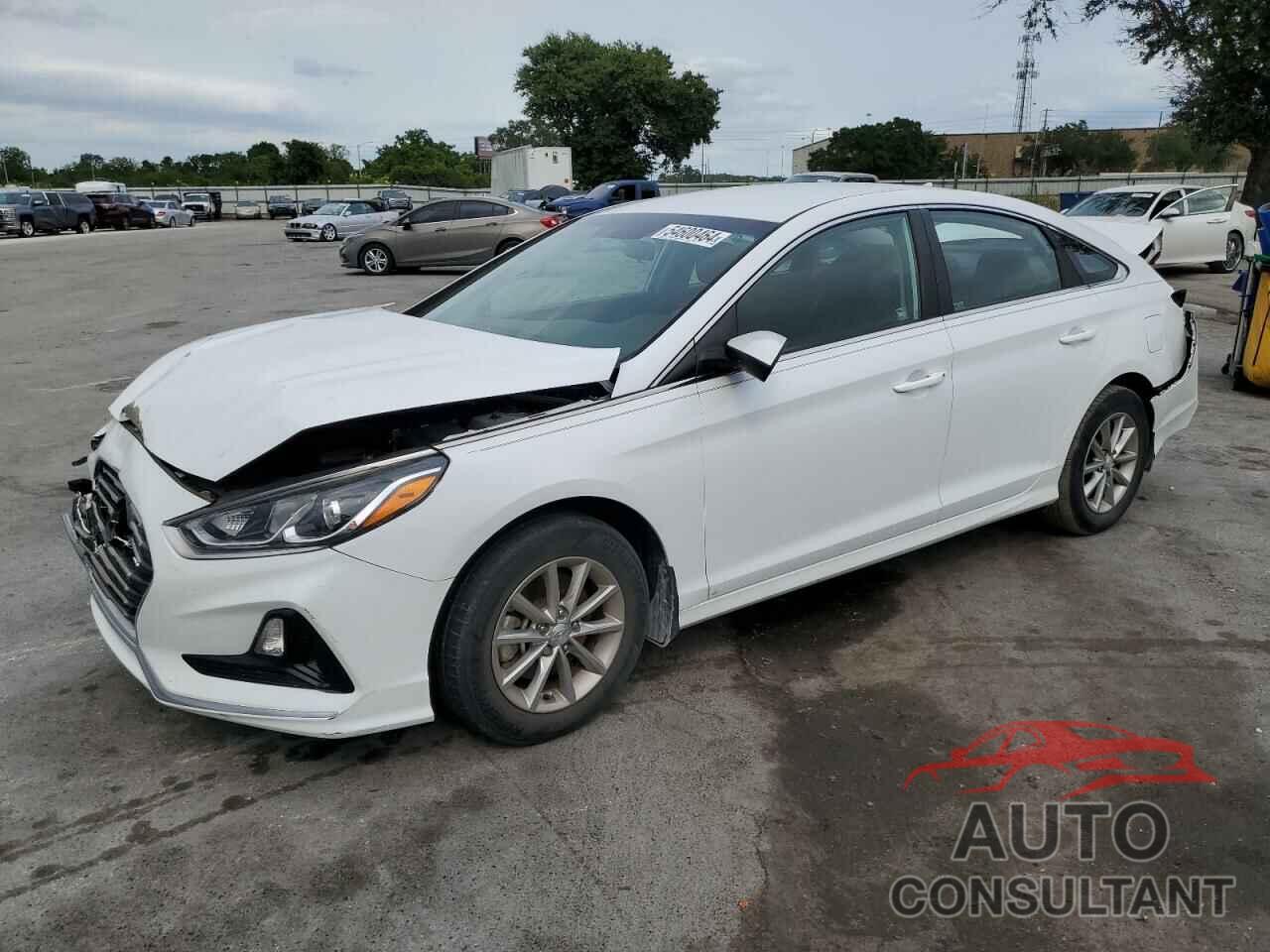 HYUNDAI SONATA 2019 - 5NPE24AF1KH803240