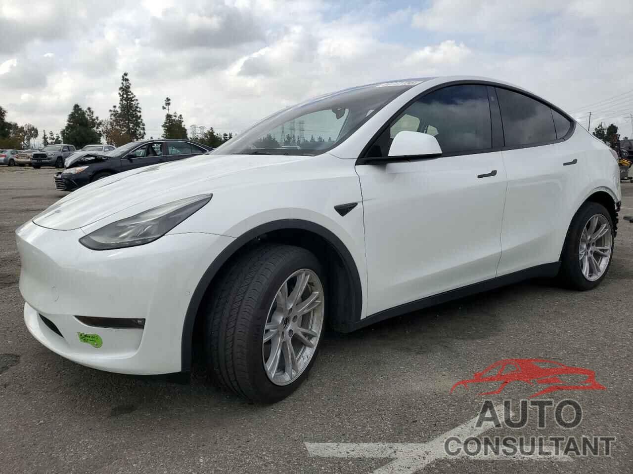 TESLA MODEL Y 2022 - 7SAYGAEE7NF557377