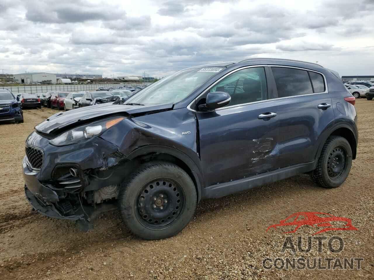 KIA SPORTAGE 2019 - KNDPNCAC3K7495976