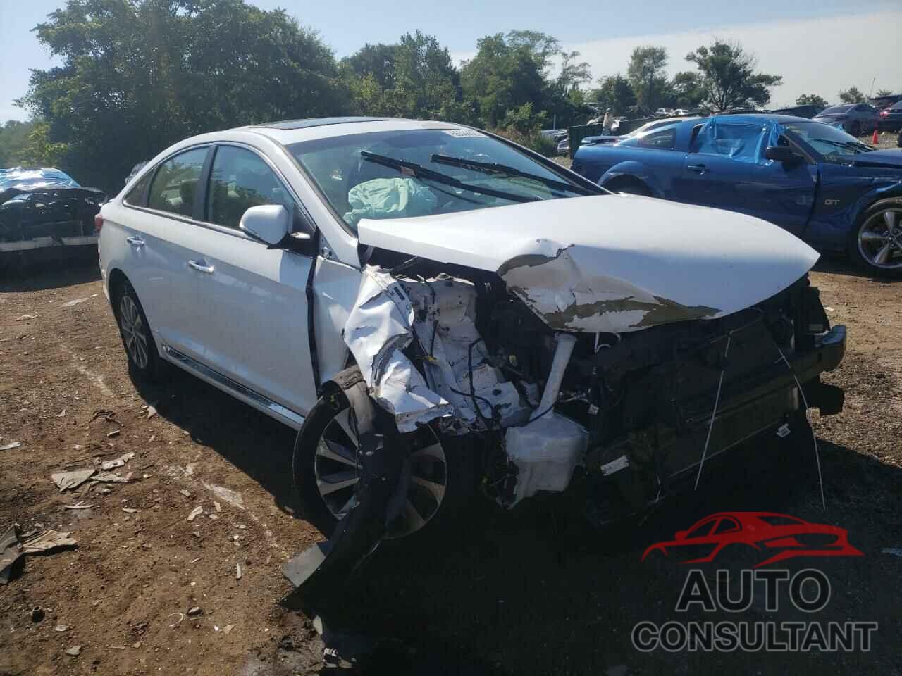 HYUNDAI SONATA 2017 - 5NPE34AF0HH527901