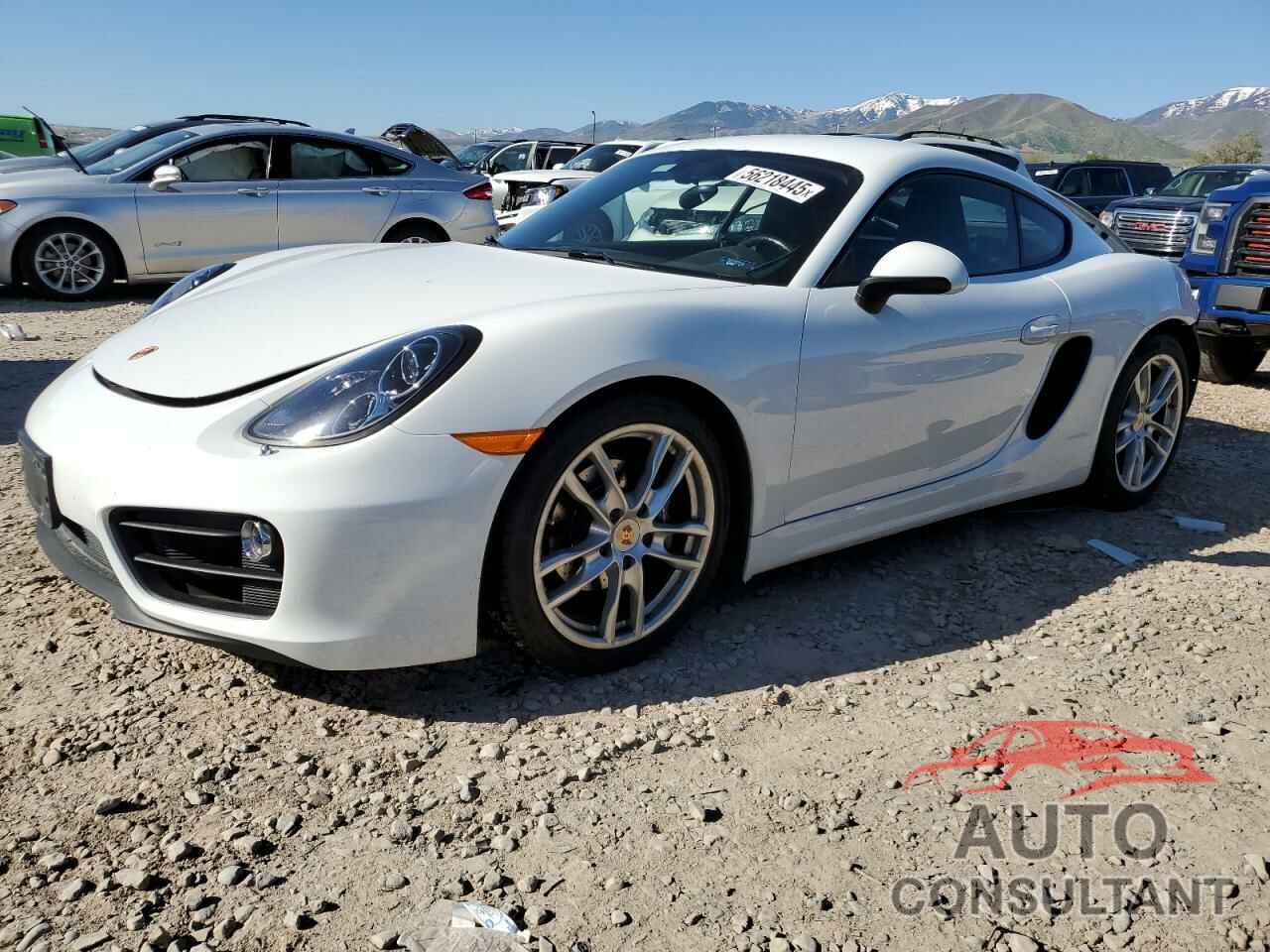 PORSCHE CAYMAN 2015 - WP0AA2A8XFK161647