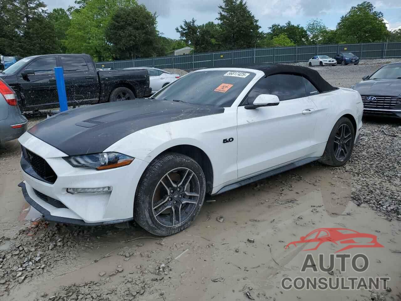 FORD MUSTANG 2019 - 1FATP8FF1K5171967