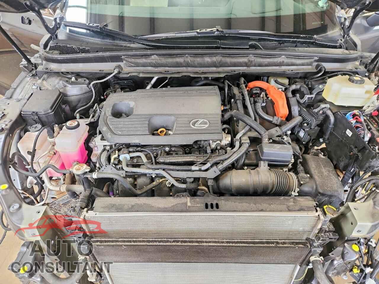 LEXUS UNKNOWN 2025 - 2T2BBMCA5SC097263