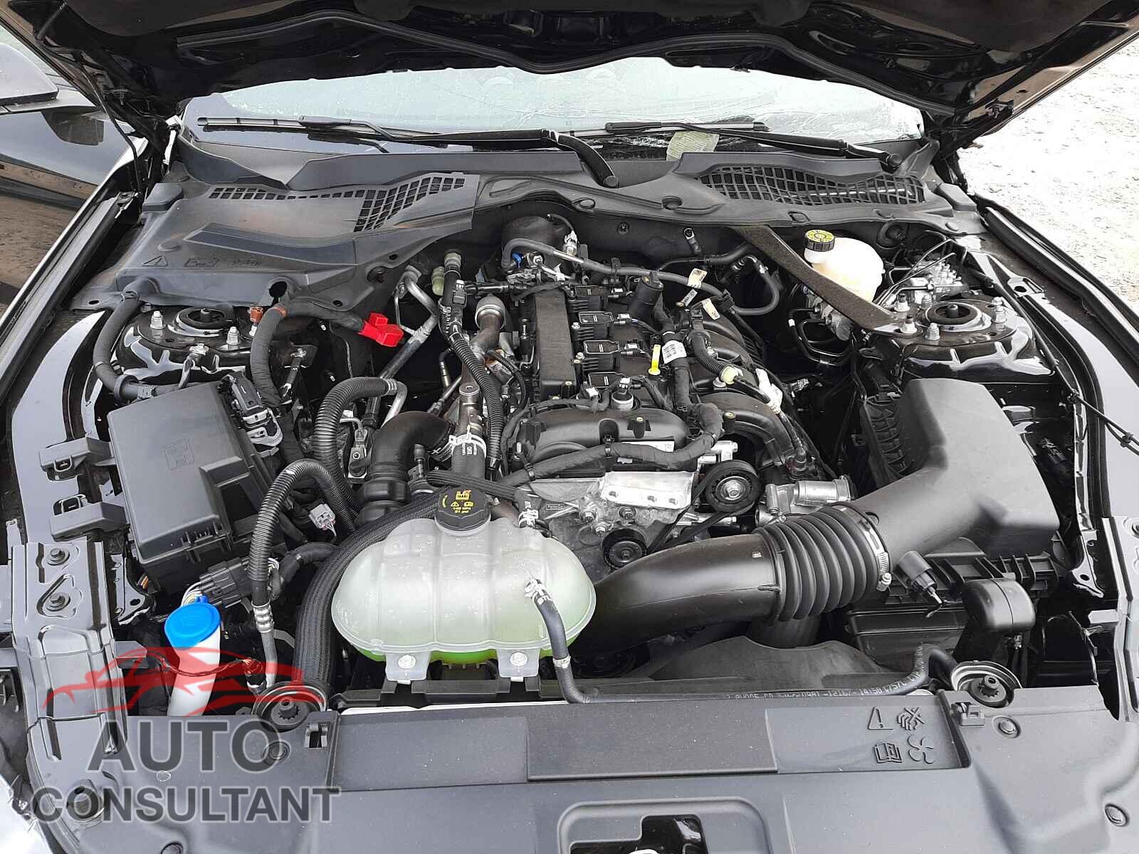FORD MUSTANG 2021 - 1FA6P8TH7M5117935