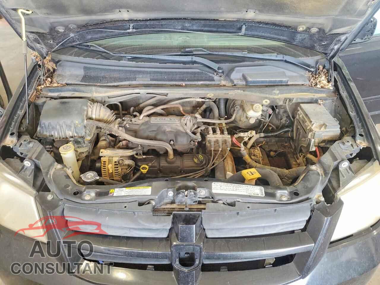 DODGE CARAVAN 2010 - 2D4RN3D11AR416341