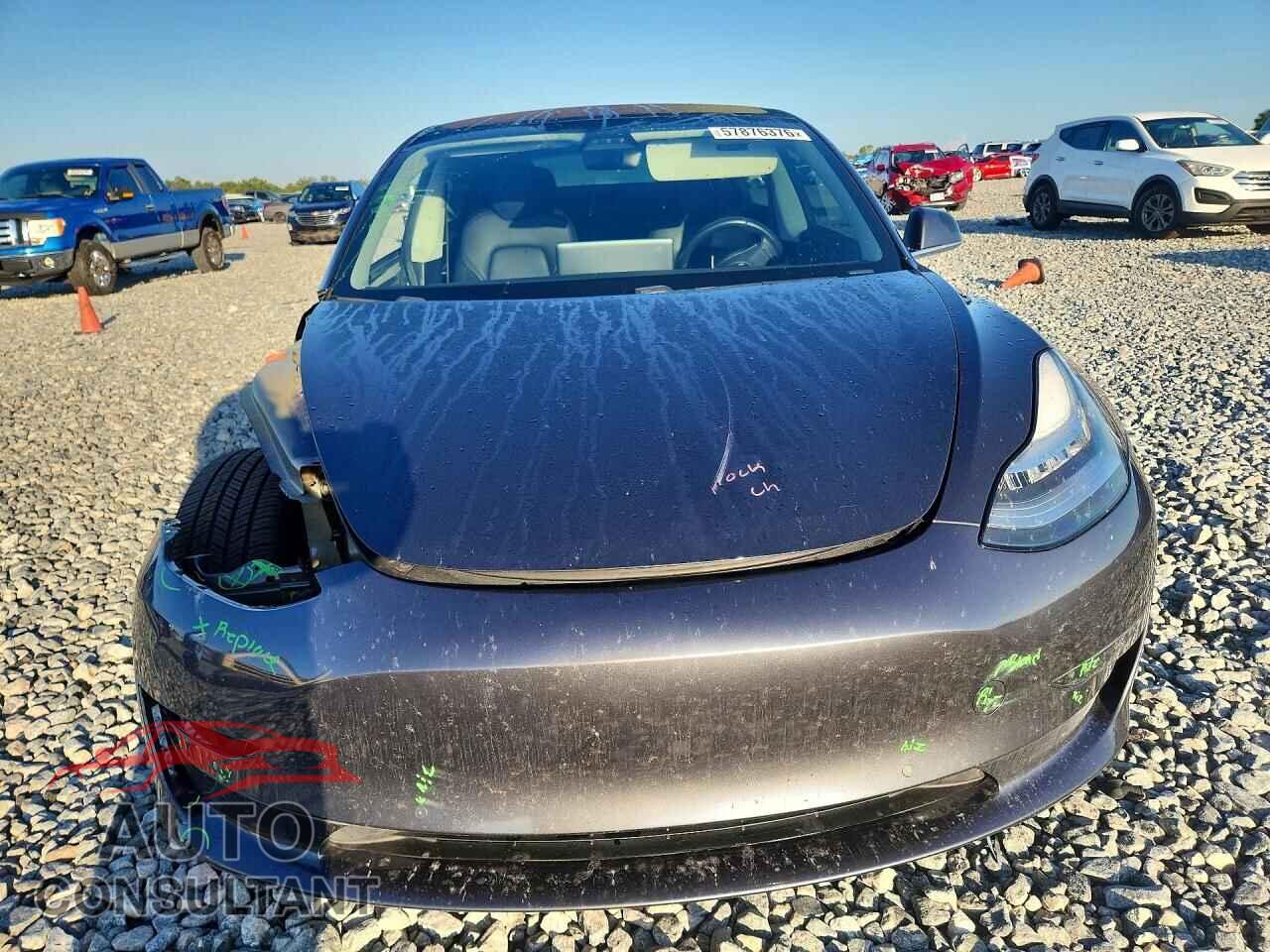 TESLA MODEL 3 2019 - 5YJ3E1EA8KF313534
