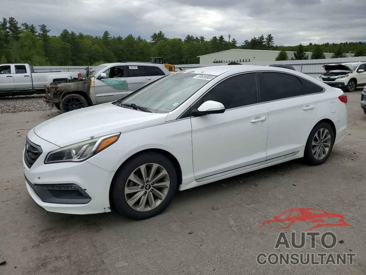 HYUNDAI SONATA 2017 - 5NPE34AFXHH571288