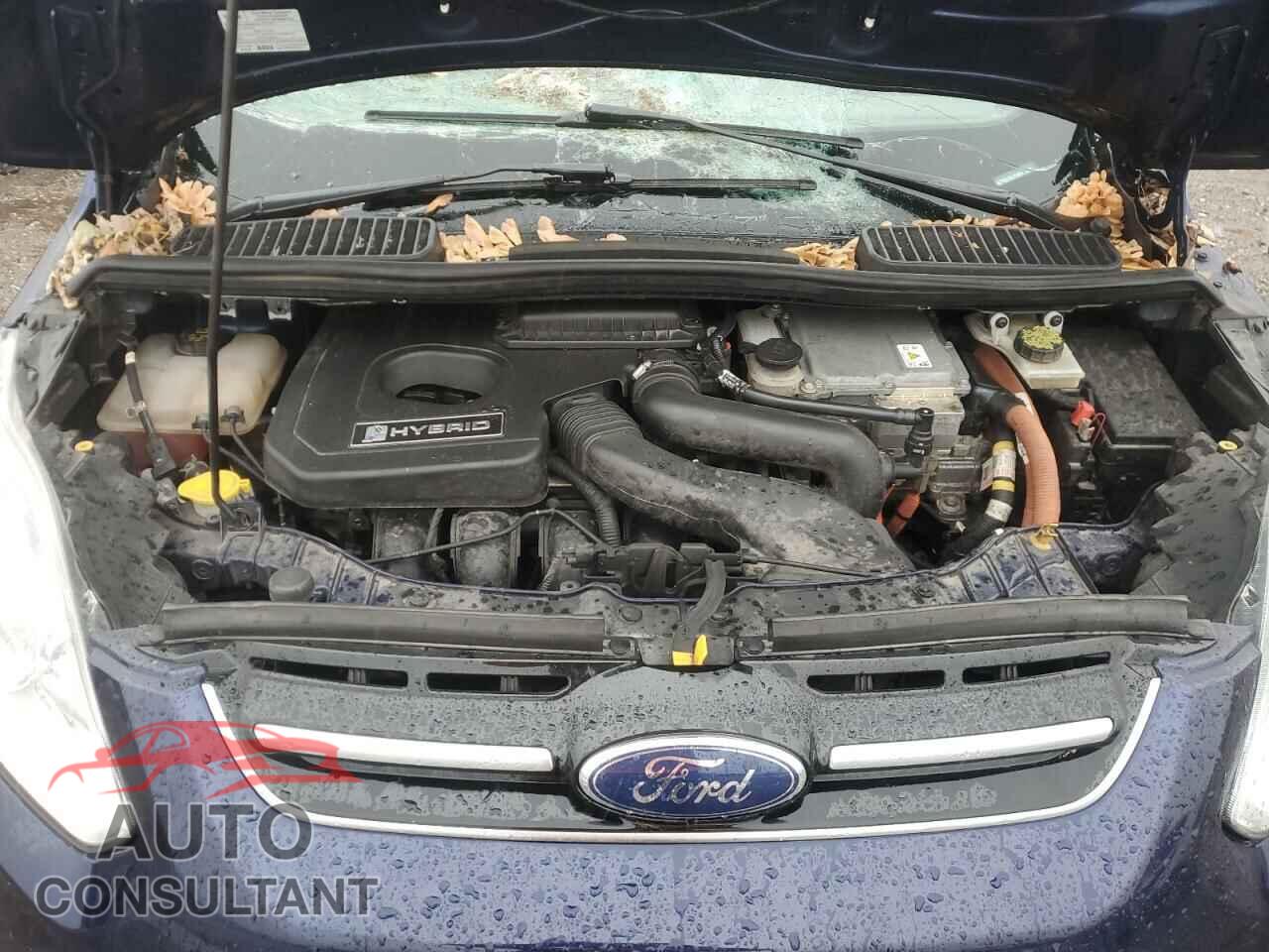 FORD CMAX 2016 - 1FADP5BU7GL114005