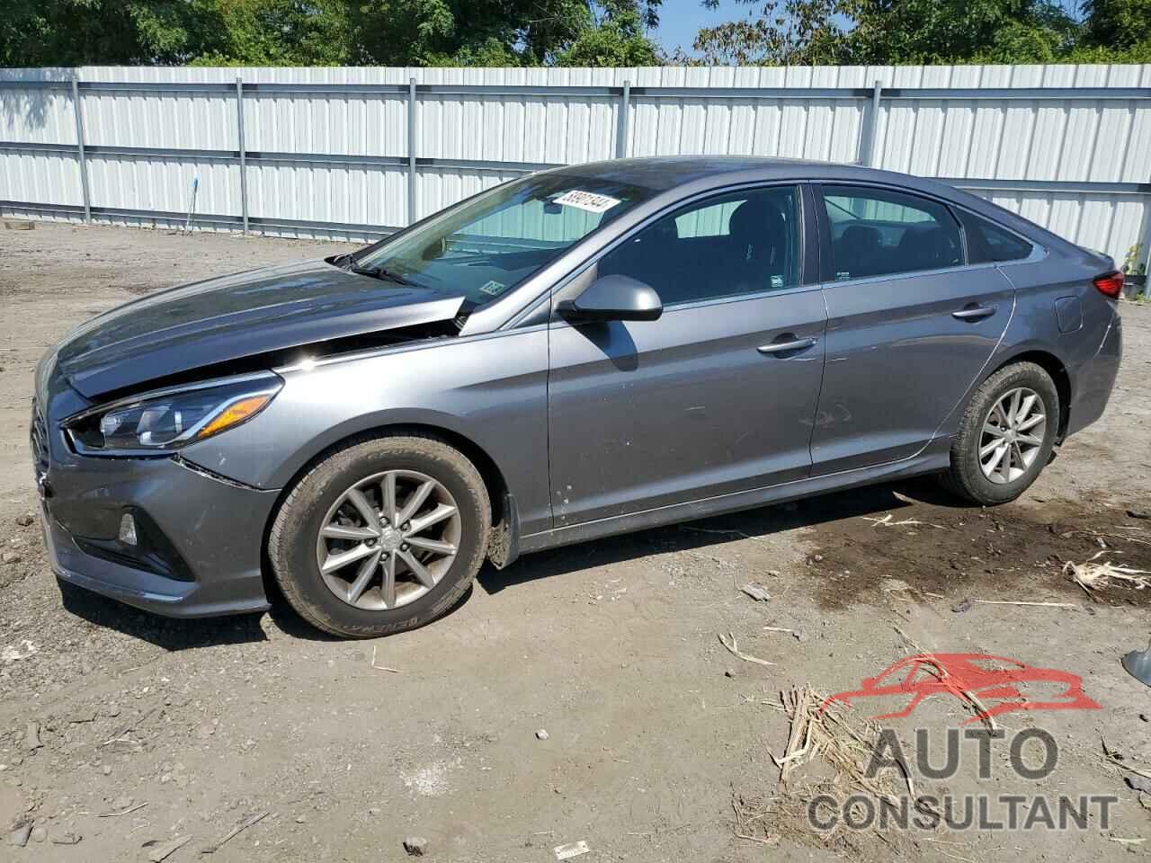 HYUNDAI SONATA 2019 - 5NPE24AF2KH817860