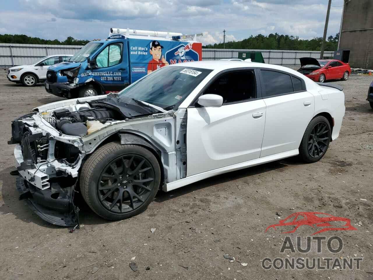 DODGE CHARGER 2019 - 2C3CDXGJ8KH734560