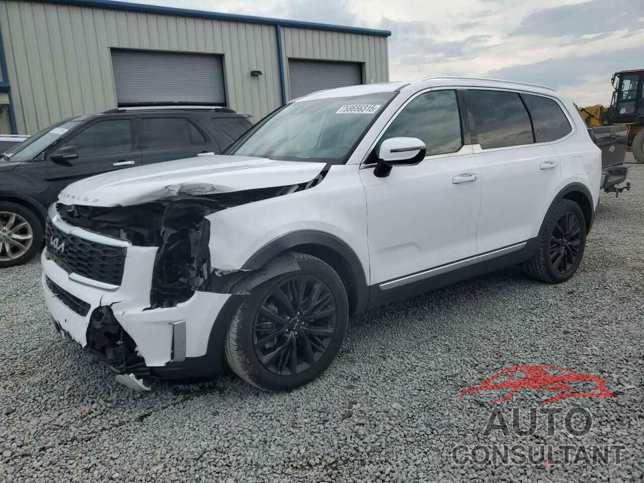 KIA TELLURIDE 2022 - 5XYP5DHC6NG222534